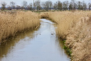 Brenkenhoffkanal