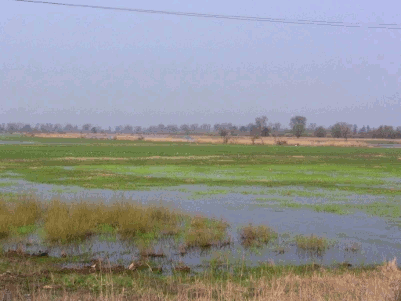 Warthevorl&auml;ufer